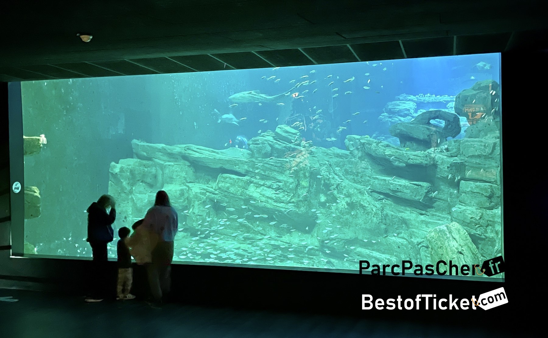 Paris Aquarium Promo Code: Save 27% on Discount Tickets for the Aquarium de Paris